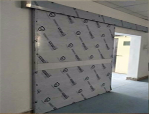 射線防護(hù)門(mén)